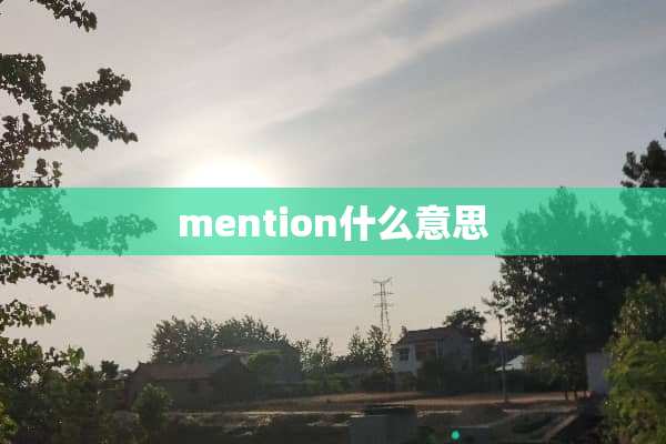 mention什么意思