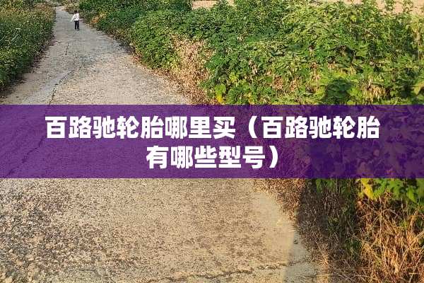 百路驰轮胎哪里买（百路驰轮胎有哪些型号）