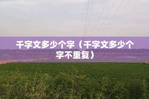 千字文多少个字（千字文多少个字不重复）
