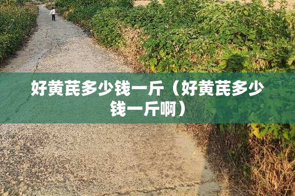 好黄芪多少钱一斤（好黄芪多少钱一斤啊）