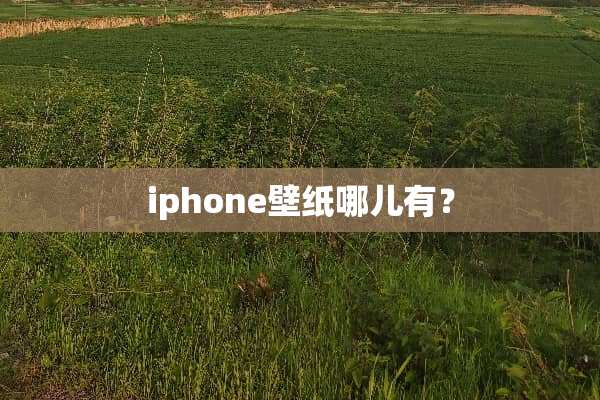iphone壁纸哪儿有？