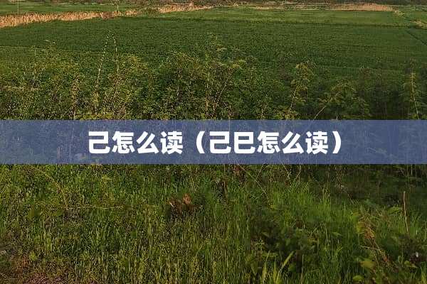 己怎么读（己巳怎么读）