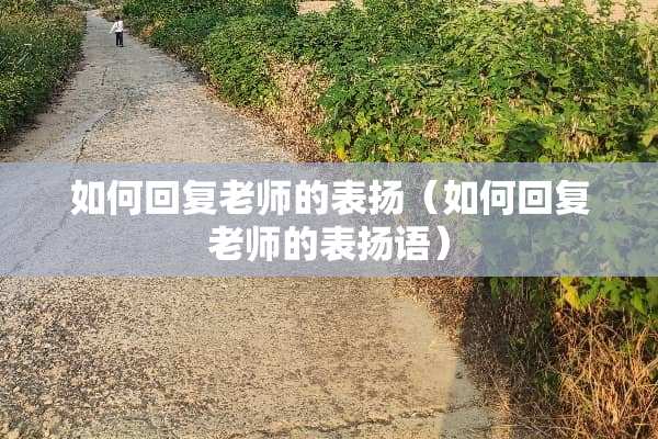 如何回复老师的表扬（如何回复老师的表扬语）