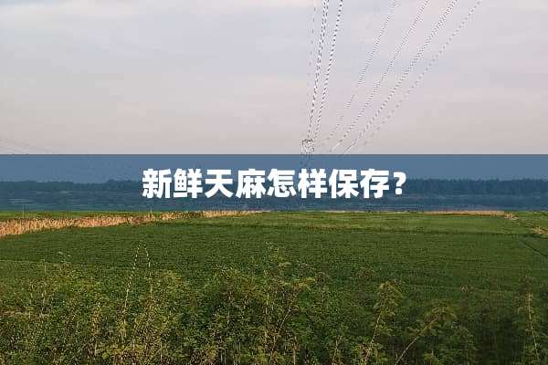 新鲜天麻怎样保存？
