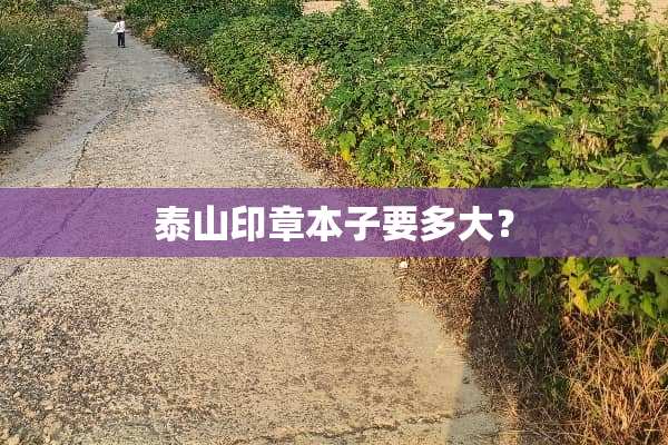 泰山印章本子要多大？