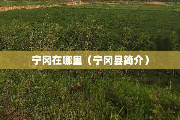 宁冈在哪里（宁冈县简介）