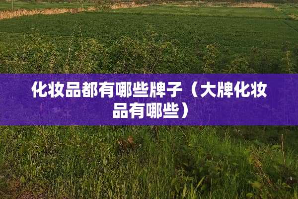 化妆品都有哪些牌子（大牌化妆品有哪些）