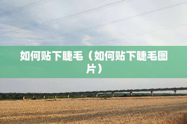 如何贴下睫毛（如何贴下睫毛图片）