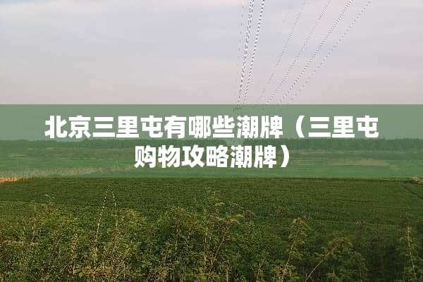 北京三里屯有哪些潮牌（三里屯购物攻略潮牌）