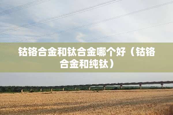 钴铬合金和钛合金哪个好（钴铬合金和纯钛）