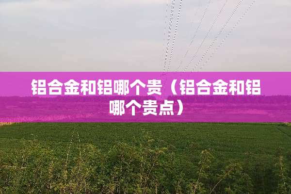 铝合金和铝哪个贵（铝合金和铝哪个贵点）