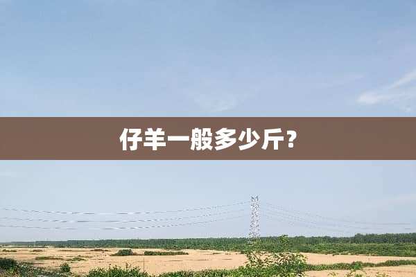 仔羊一般多少斤？