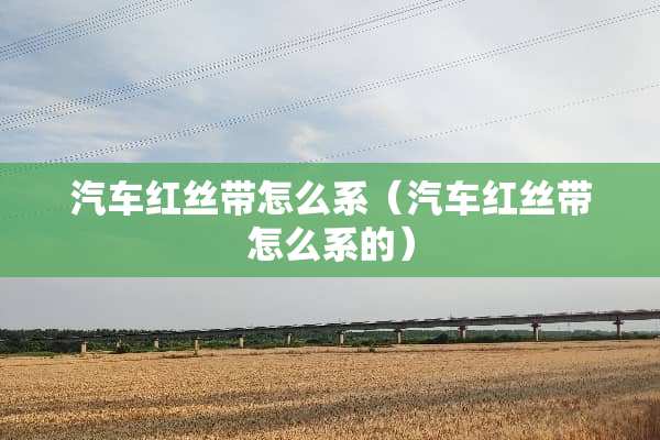 汽车红丝带怎么系（汽车红丝带怎么系的）
