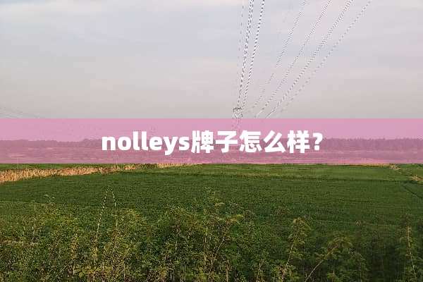 nolleys牌子怎么样？