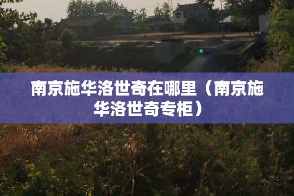南京施华洛世奇在哪里（南京施华洛世奇专柜）