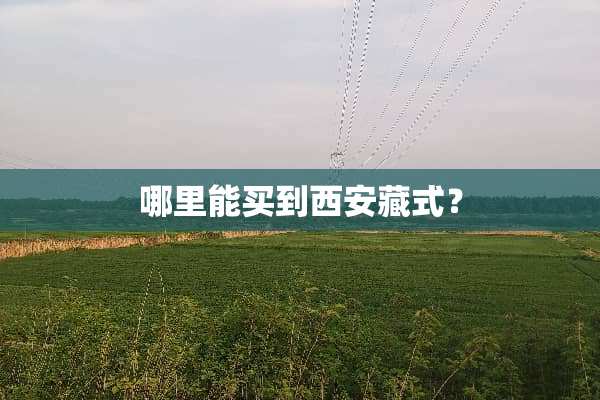 哪里能买到西安藏式？
