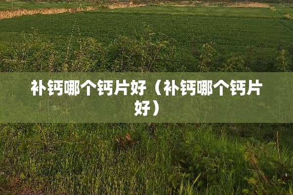补钙哪个钙片好（补钙哪个钙片好）
