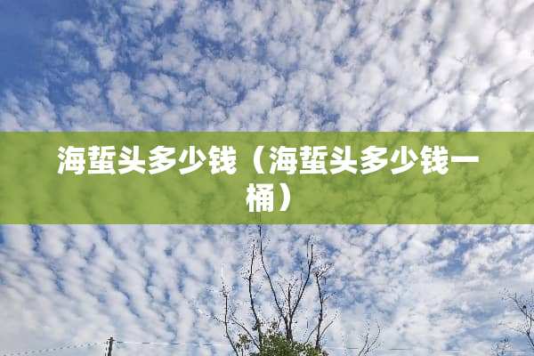 海蜇头多少钱（海蜇头多少钱一桶）