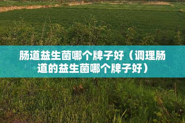 肠道益生菌哪个牌子好（调理肠道的益生菌哪个牌子好）