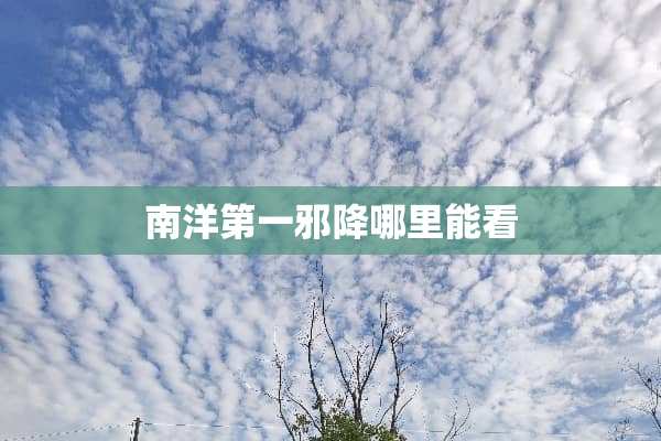 南洋第一邪降哪里能看