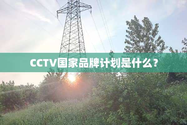 CCTV国家品牌计划是什么？