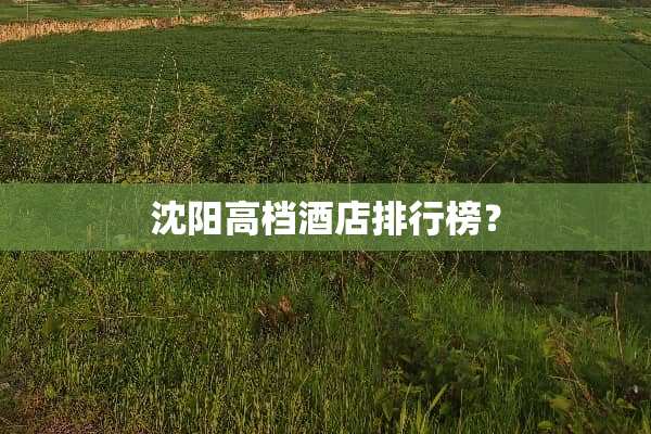 沈阳高档酒店排行榜？