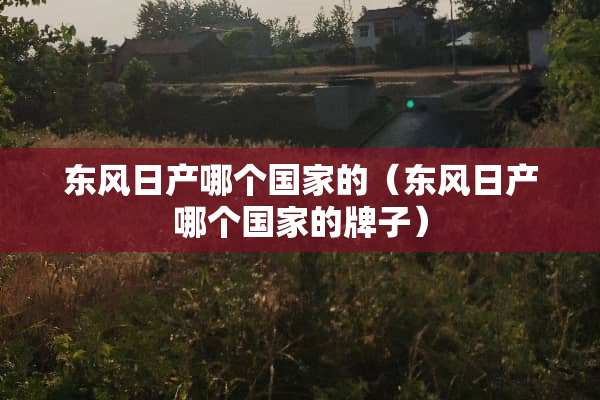 东风日产哪个国家的（东风日产哪个国家的牌子）