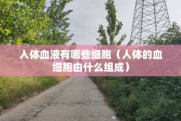 人体血液有哪些细胞（人体的血细胞由什么组成）