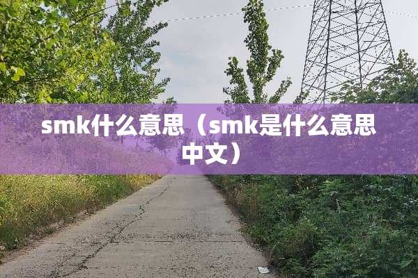 smk什么意思（smk是什么意思中文）