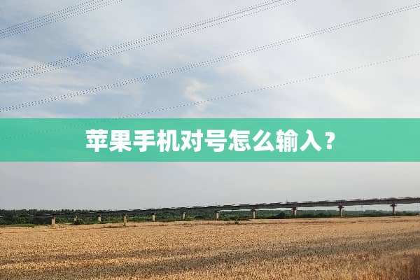 苹果手机对号怎么输入？