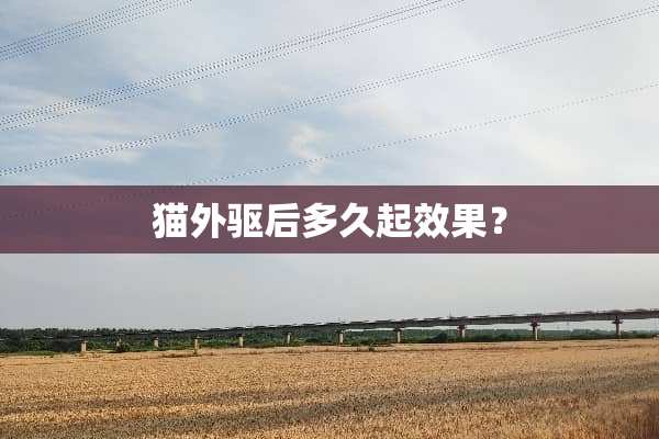 猫外驱后多久起效果？