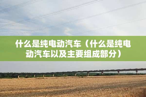 什么是纯电动汽车（什么是纯电动汽车以及主要组成部分）