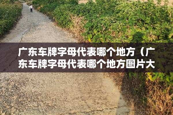 广东车牌字母代表哪个地方（广东车牌字母代表哪个地方图片大全）