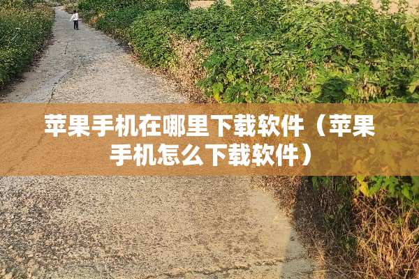 苹果手机在哪里下载软件（苹果手机怎么下载软件）