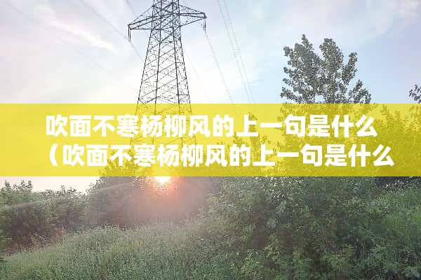 吹面不寒杨柳风的上一句是什么（吹面不寒杨柳风的上一句是什么几年级）
