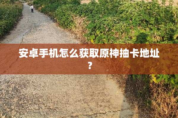 安卓手机怎么获取原神抽卡地址？