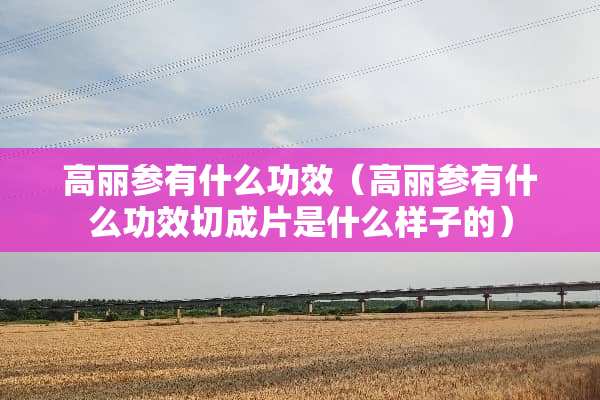 高丽参有什么功效（高丽参有什么功效切成片是什么样子的）