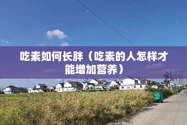 吃素如何长胖（吃素的人怎样才能增加营养）