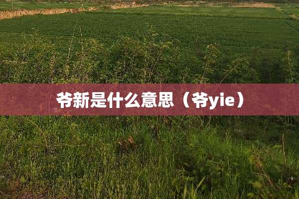 爷新是什么意思（爷yie）