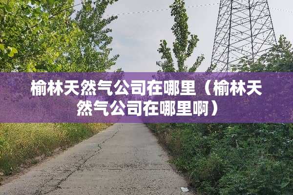 榆林天然气公司在哪里（榆林天然气公司在哪里啊）