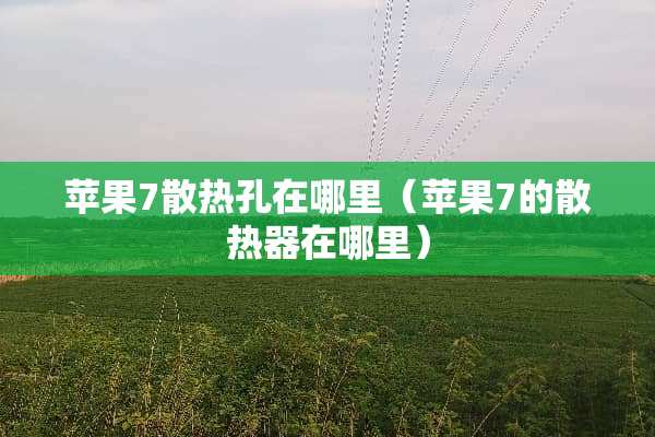 苹果7散热孔在哪里（苹果7的散热器在哪里）