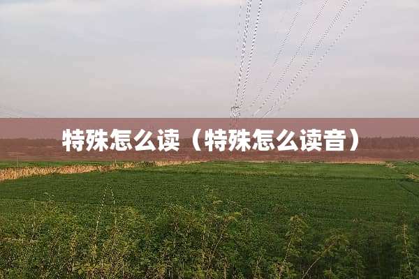 特殊怎么读（特殊怎么读音）