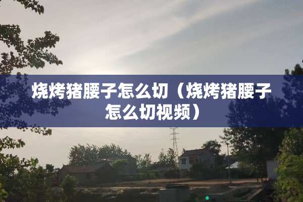 烧烤猪腰子怎么切（烧烤猪腰子怎么切视频）