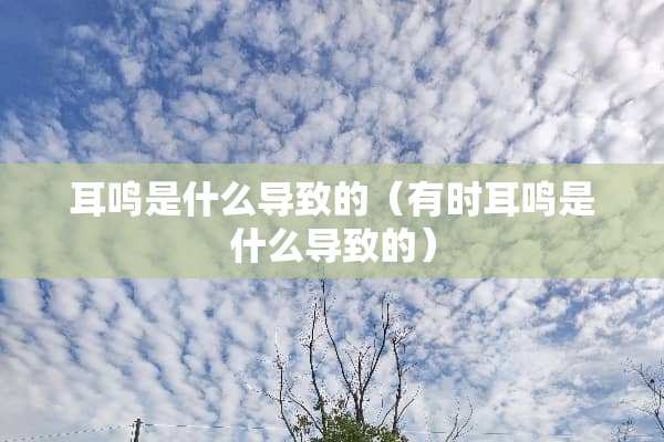 耳鸣是什么导致的（有时耳鸣是什么导致的）