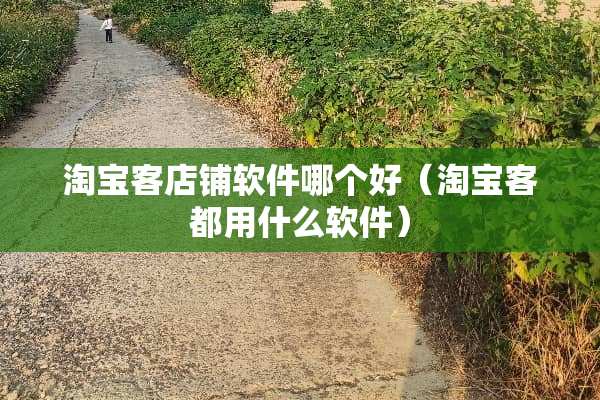 淘宝客店铺软件哪个好（淘宝客都用什么软件）