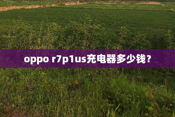 oppo r7p1us充电器多少钱？