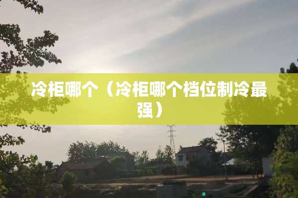 冷柜哪个（冷柜哪个档位制冷最强）