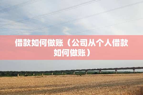 借款如何做账（公司从个人借款如何做账）