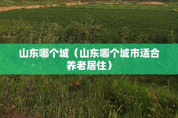 山东哪个城（山东哪个城市适合养老居住）