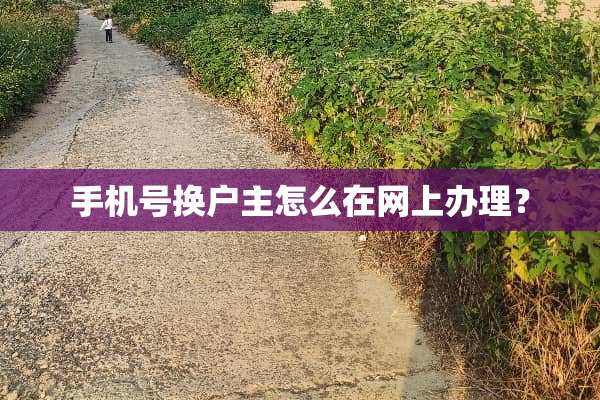手机号换户主怎么在网上办理？